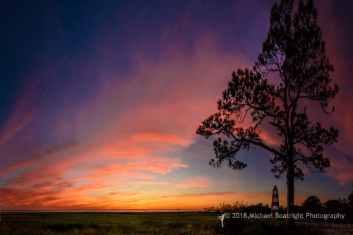 Sapelo2018_MCB7027.jpg