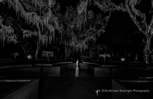 Sapelo2018_MCB7196.jpg