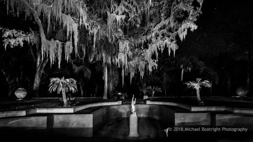 Sapelo2018_MCB7208.jpg
