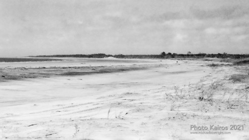 $BEACH-CabrettaBeach-CabrettaIsland-Sapelo-135-18-23.jpg