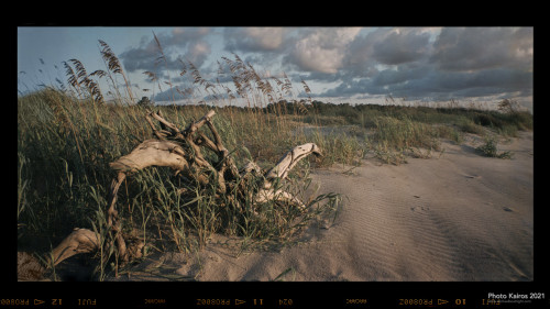 $BEACH-NannygoatBeachSunrise_Sapelo-120-12-06.jpg