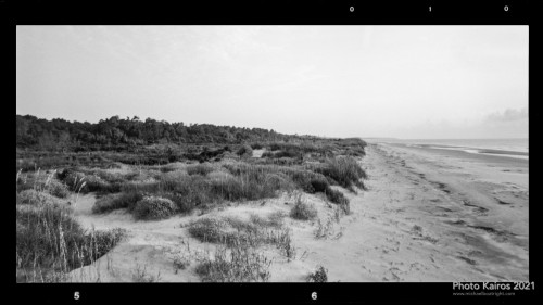 $BEACH-NannygoatBeach_Sapelo-120-03-02.jpg