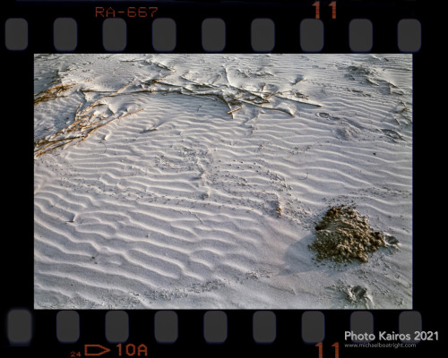 $BEACH-Sapelo_135-21-07.jpg