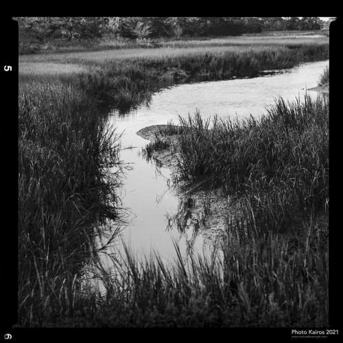 $MARSH-DeanCreek-SapeloIsland_Sapelo-120-10-05.jpg