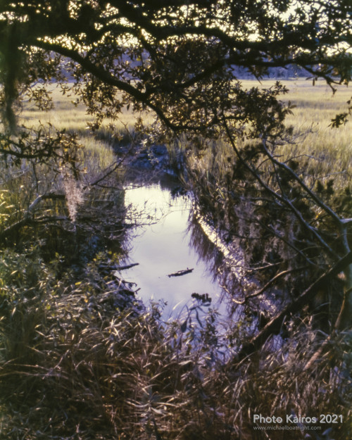 $MARSH-DeanCreek_Sapelo-135-21-04.jpg