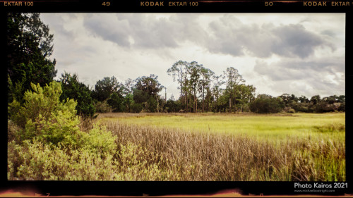 $MARSH-SaltMarsh-SapeloIsland_Sapelo-120-01-03.jpg