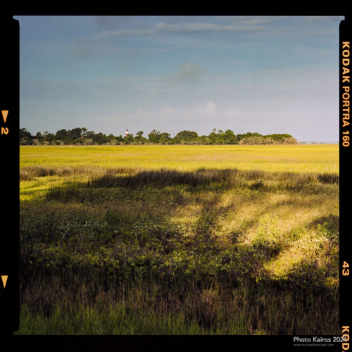$MARSH-SaltMarsh-WithLighthouseAndMaritimeForest_Sapelo-07-02.jpg