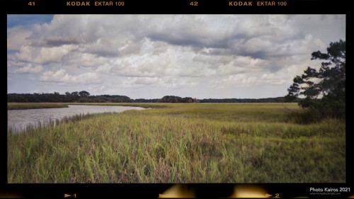 $MARSH-SaltMarshWithLighthouseCreek_Sapelo-120-01-01.jpg