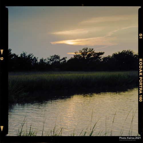 $MARSH-Sapelo-07-12.jpg