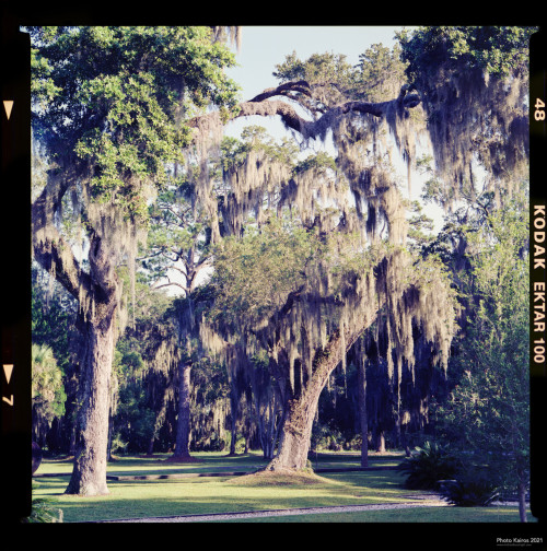 $MANSION-Sapelo-08-03.jpg