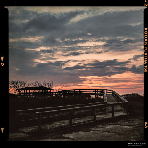 $BEACH-Sapelo-120-06-02.jpg