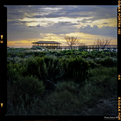 $BEACH-Sapelo-120-06-03.jpg