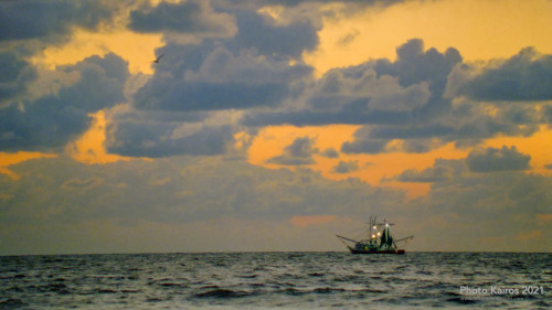 $BEACH-Sapelo-135-17-08.jpg