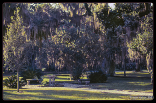 $MANSION-ReynoldsMansionGarden_Sapelo-135-21-10.jpg