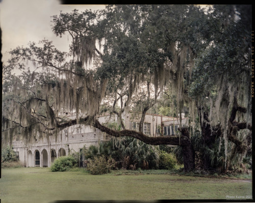 $MANSION-Sapelo-4x5-36-01-3.jpg