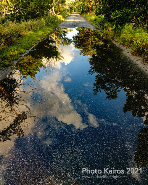 IMG_4453.jpg