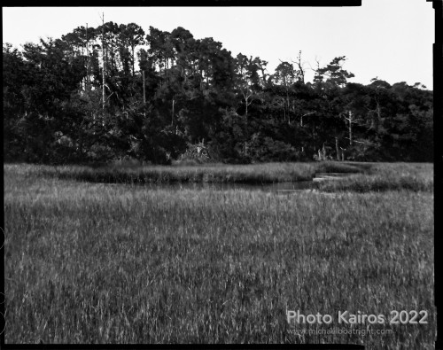 Sapelo2022_Sapelo2022_20220920-4x5_03.jpg