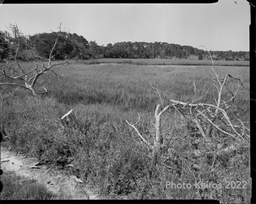 Sapelo2022_Sapelo2022_20220920-4x5_05.jpg