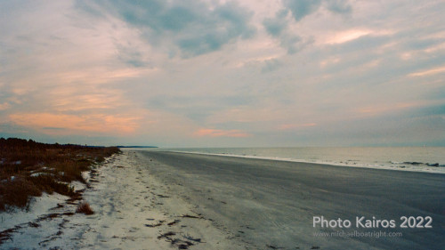 Sapelo2022_Sapelo2022_20220925-135_05.jpg