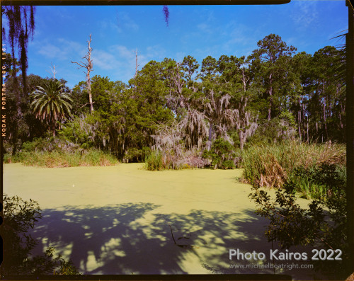 Sapelo2022_Sapelo2022_20220925-4x5_04.jpg