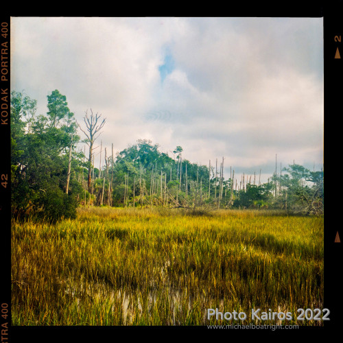 Sapelo2022_Sapelo2022_20220927-120-1_01.jpg