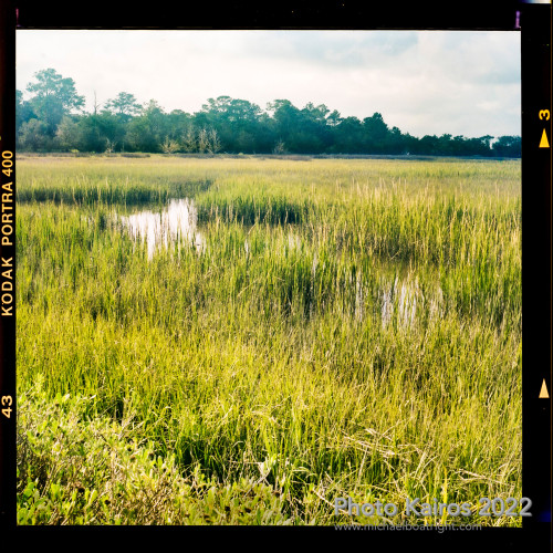 Sapelo2022_Sapelo2022_20220927-120-1_02.jpg