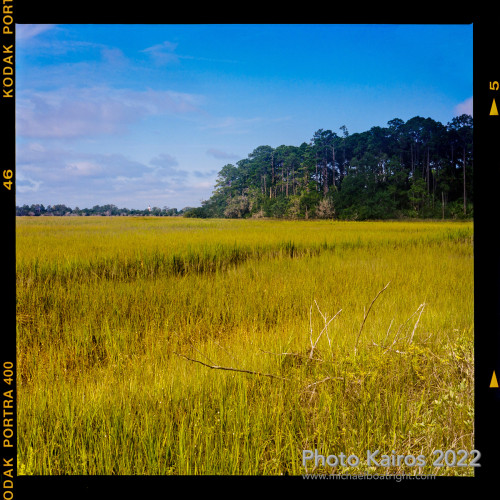 Sapelo2022_Sapelo2022_20220927-120-1_04.jpg