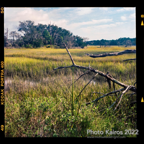 Sapelo2022_Sapelo2022_20220927-120-1_07.jpg
