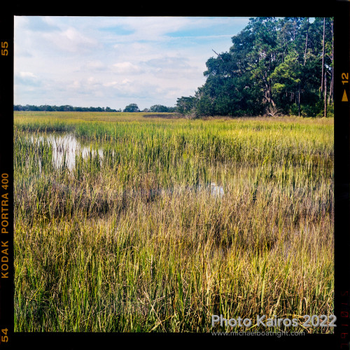 Sapelo2022_Sapelo2022_20220927-120-1_09.jpg