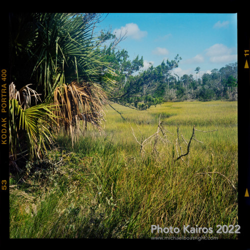 Sapelo2022_Sapelo2022_20220927-120-1_10.jpg