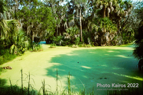 Sapelo2022_Sapelo2022_20220927-135-2_06.jpg