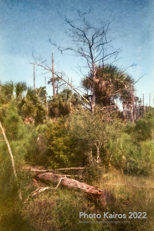 Sapelo2022_Sapelo2022_20220929-135-1_10.jpg