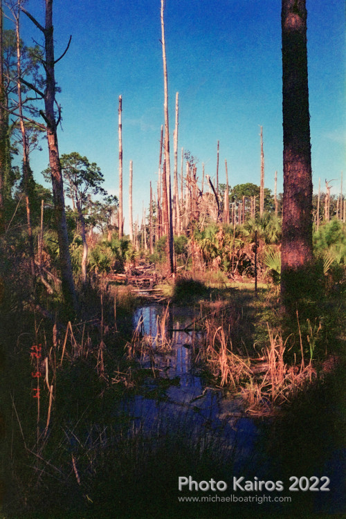Sapelo2022_Sapelo2022_20220929-135-3_11.jpg