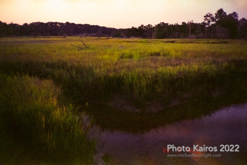 Sapelo2022_Sapelo2022_20220929-135-3_23.jpg