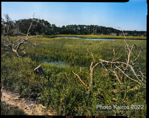 Sapelo2022_Sapelo2022_20220930-4X5_02.jpg