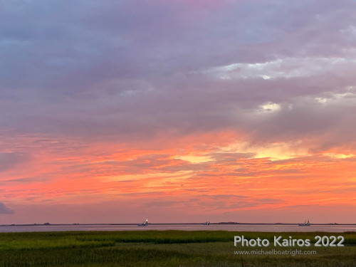 Sapelo2022_Sapelo2022_IMG_1691.jpg