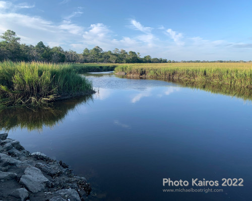 Sapelo2022_Sapelo2022_IMG_1932.jpg