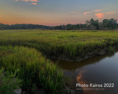 Sapelo2022_Sapelo2022_Snapseed-10.jpg