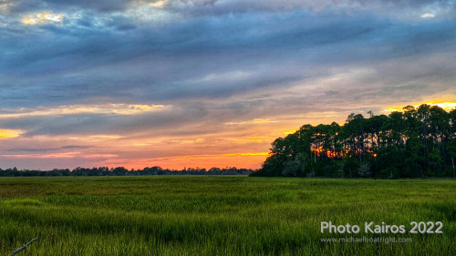 Sapelo2022_Sapelo2022_Snapseed-5.jpg
