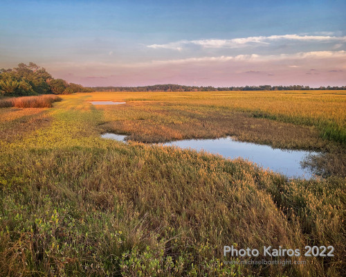 Sapelo2022_Sapelo2022_Snapseed-8.jpg