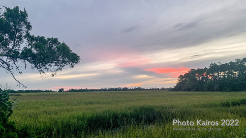 Sapelo2022_Sapelo2022__IMG_1602.jpg