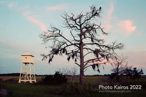 Sapelo2022_Sapelo2022_20220927-135-2_20.jpg