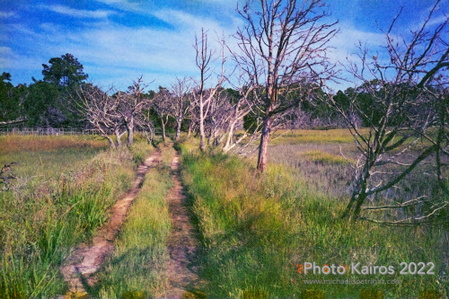 Sapelo2022_Sapelo2022_20220929-135-3_01.jpg