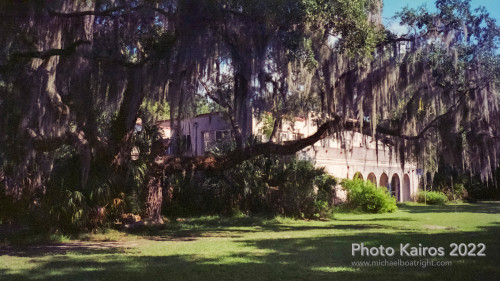 Sapelo2022_Sapelo2022_20220929-135-3_25.jpg