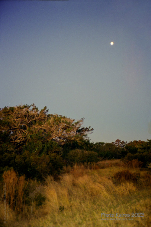 Sapelo2023_20231210-120-1_00_1800px.jpg