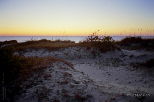 Sapelo2023_20231210-120-1_01_1800px.jpg