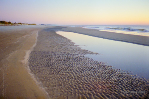 Sapelo2023_20231210-120-1_02_1800px.jpg