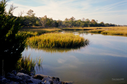 Sapelo2023_20231210-120-1_16_1800px.jpg