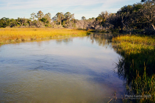 Sapelo2023_20231210-120-1_17_1800px.jpg