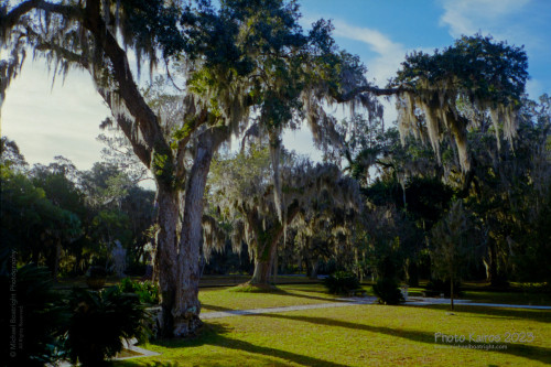 Sapelo2023_20231210-120-1_19_1800px.jpg